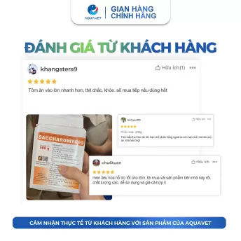 Men Tiêu Hóa Sacccharomyces Đậm Đặc